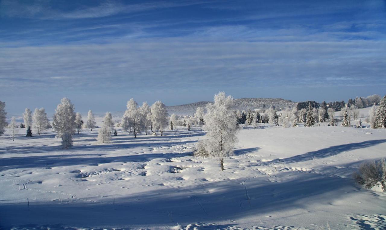 Вілла Le Refuge Des Marmottes Saint-Laurent-du-Jura Екстер'єр фото