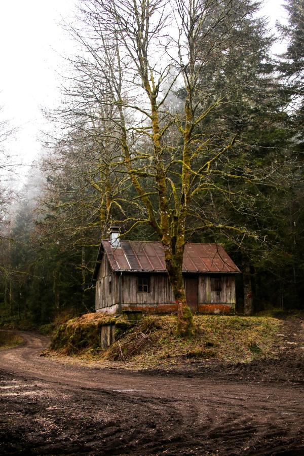 Вілла Le Refuge Des Marmottes Saint-Laurent-du-Jura Екстер'єр фото
